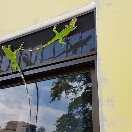 Yellow House Кепос Екстериор снимка